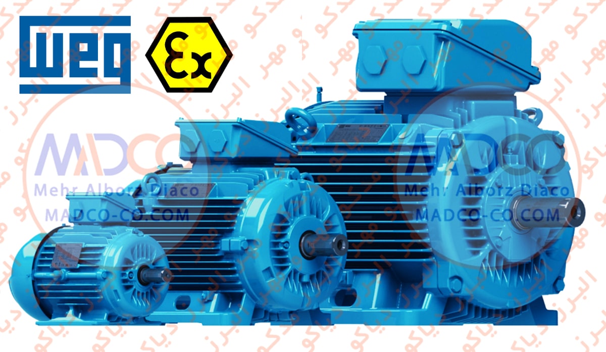 WEG Electric Motors EX